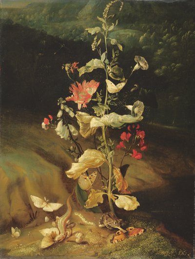 Nature morte avec des fleurs - Otto Marseus  van Schrieck